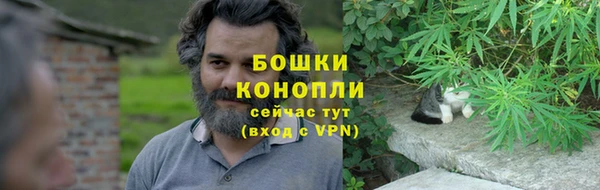 шишки Арсеньев