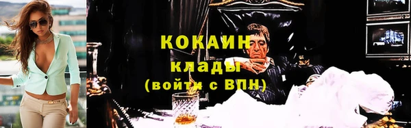 шишки Арсеньев