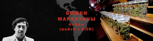 гидропоника Рославль