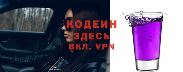 шишки Арсеньев
