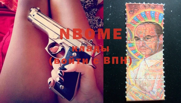 шишки Арсеньев