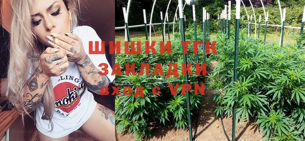 шишки Арсеньев