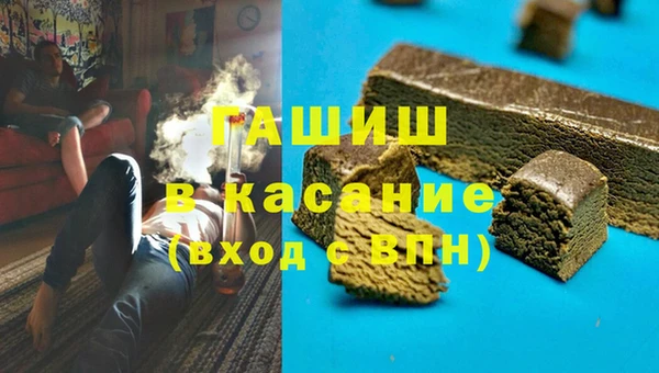 шишки Арсеньев