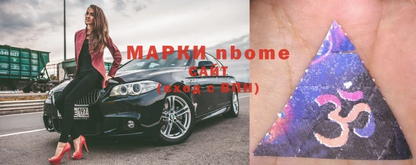 шишки Арсеньев