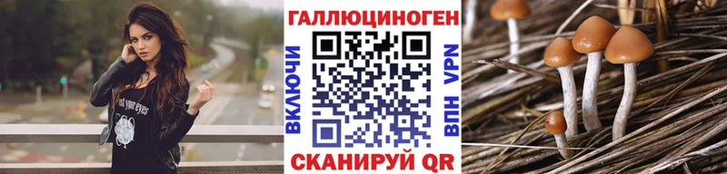 купить наркотик  Россошь  Псилоцибиновые грибы GOLDEN TEACHER 
